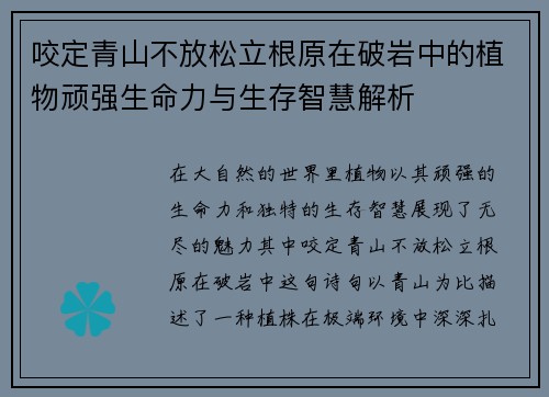 咬定青山不放松立根原在破岩中的植物顽强生命力与生存智慧解析